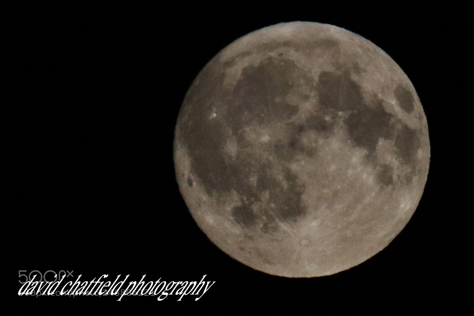 Canon EOS 750D (EOS Rebel T6i / EOS Kiss X8i) sample photo. Img photography