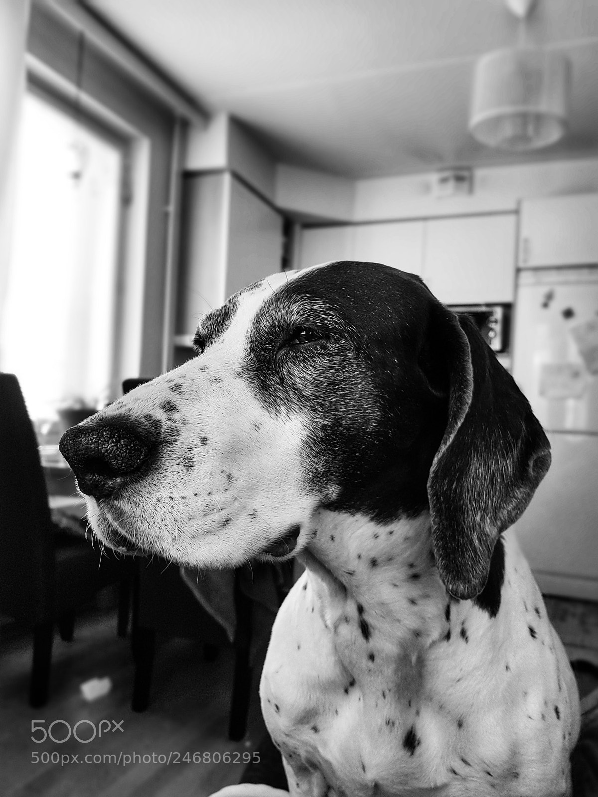 Samsung Galaxy S8 sample photo. Diili photography