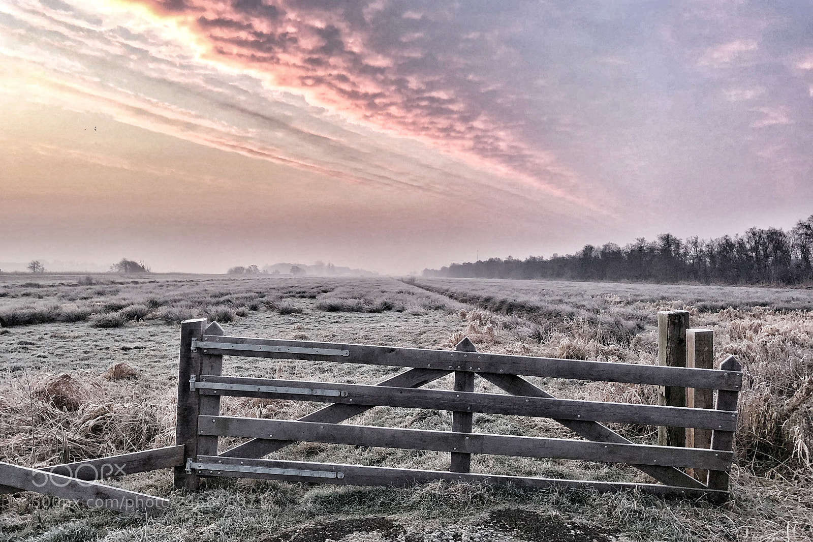 Apple iPhone X sample photo. Dutch winter photography