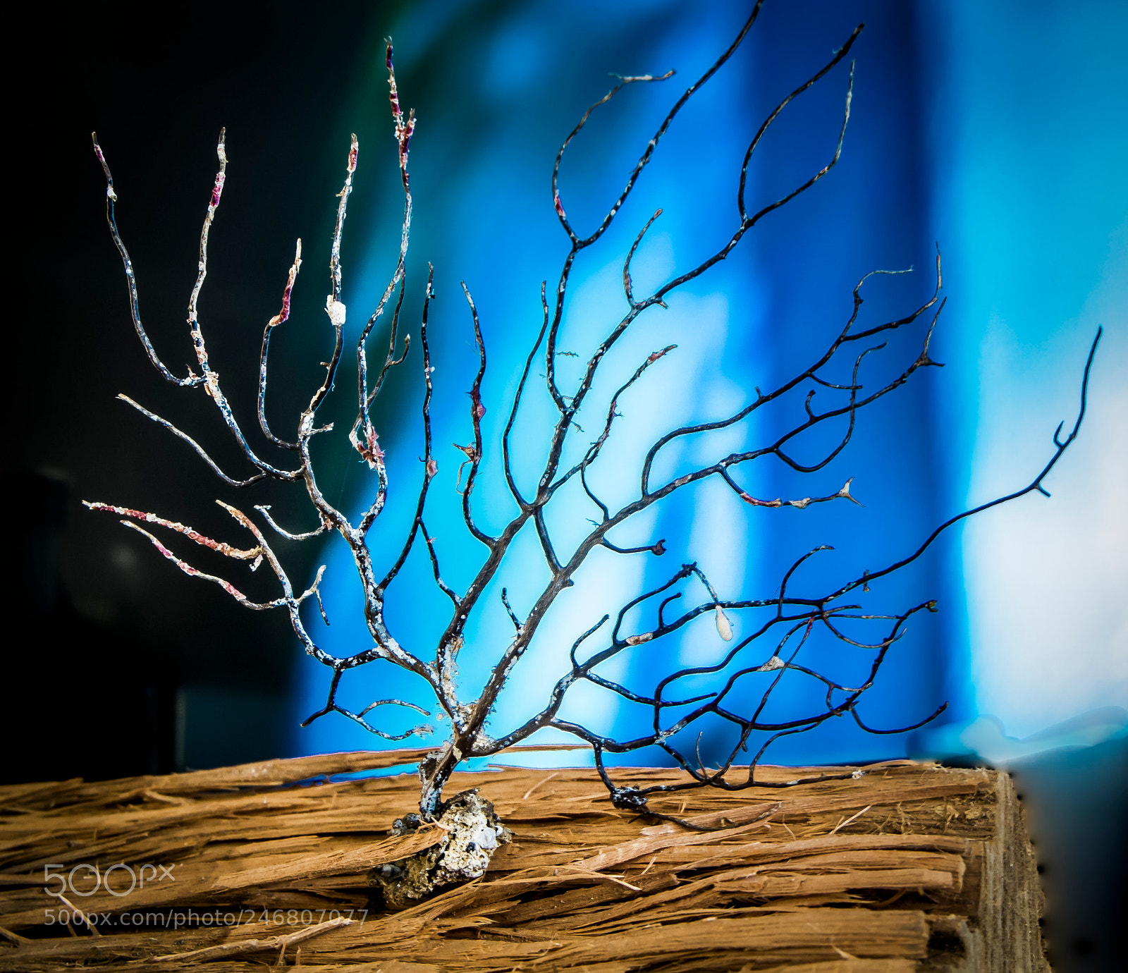 Fujifilm X-M1 sample photo. Un dono che l'oceano photography