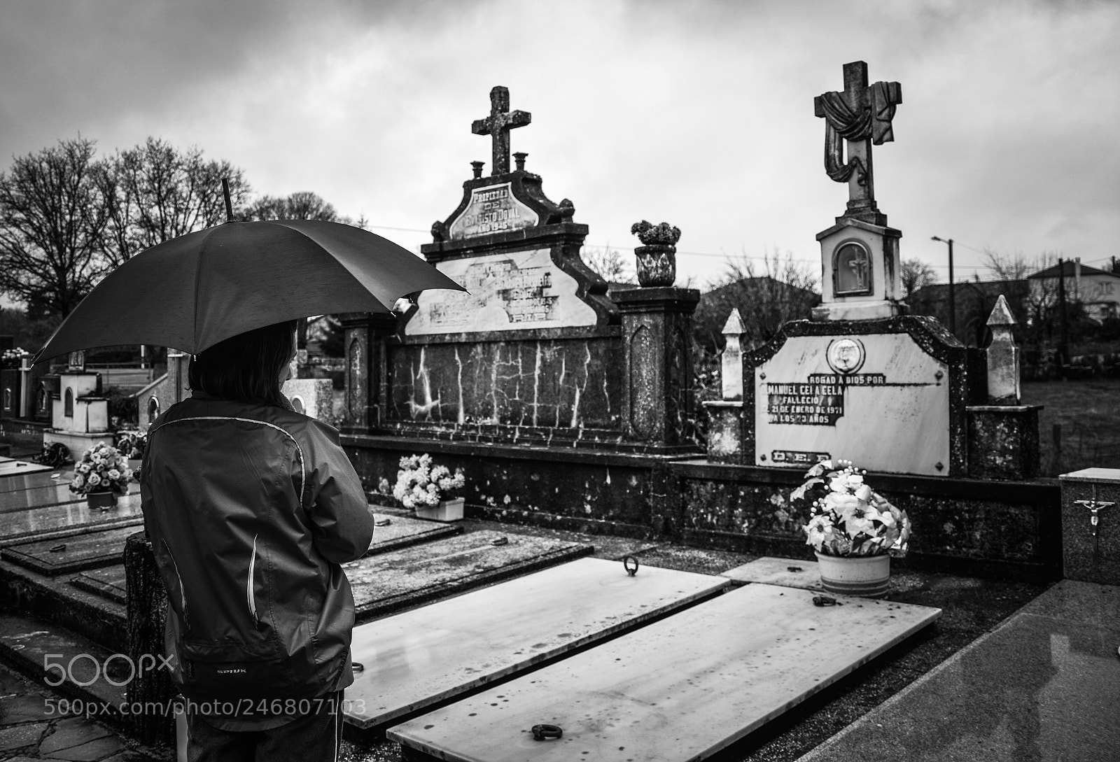 Nikon D610 sample photo. Untitled photography