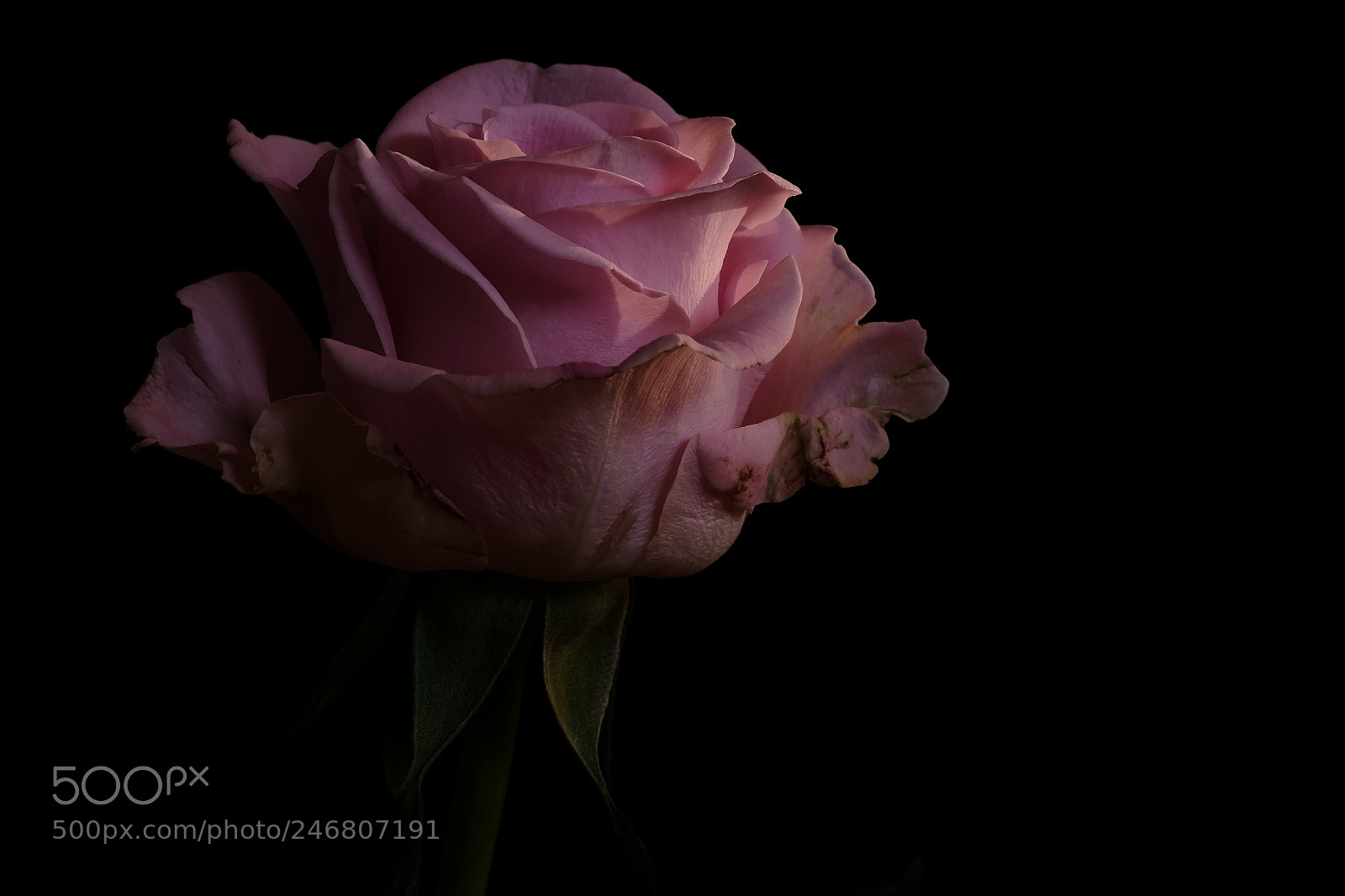 Fujifilm X-T10 sample photo. 501 photography
