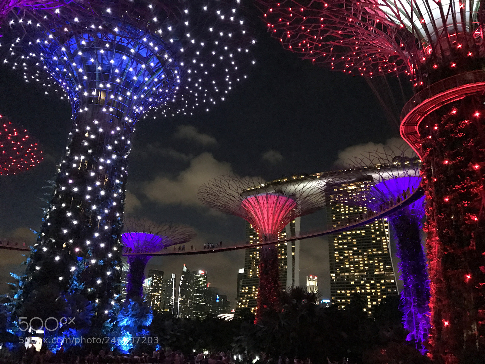 Apple iPhone 7 Plus sample photo. Gardens by the bay photography