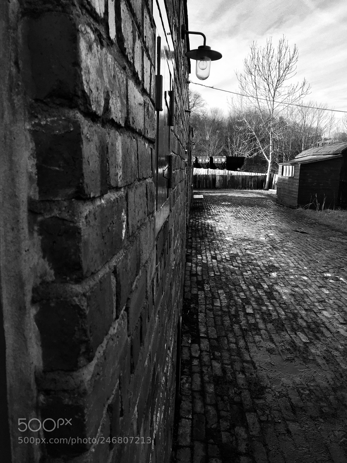 Apple iPhone 6 sample photo. Beamish photography