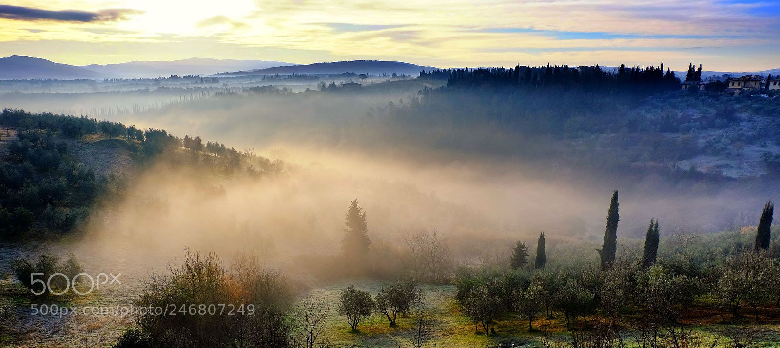 Fujifilm X-M1 sample photo. Morning of mist and photography