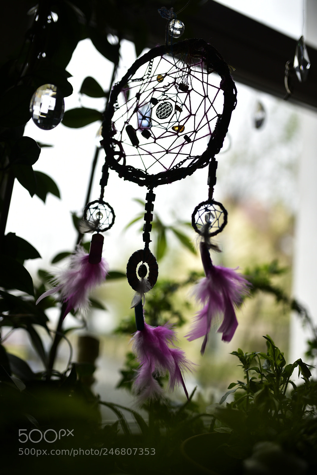Sigma 35mm F1.4 DG HSM Art sample photo. Dsc photography