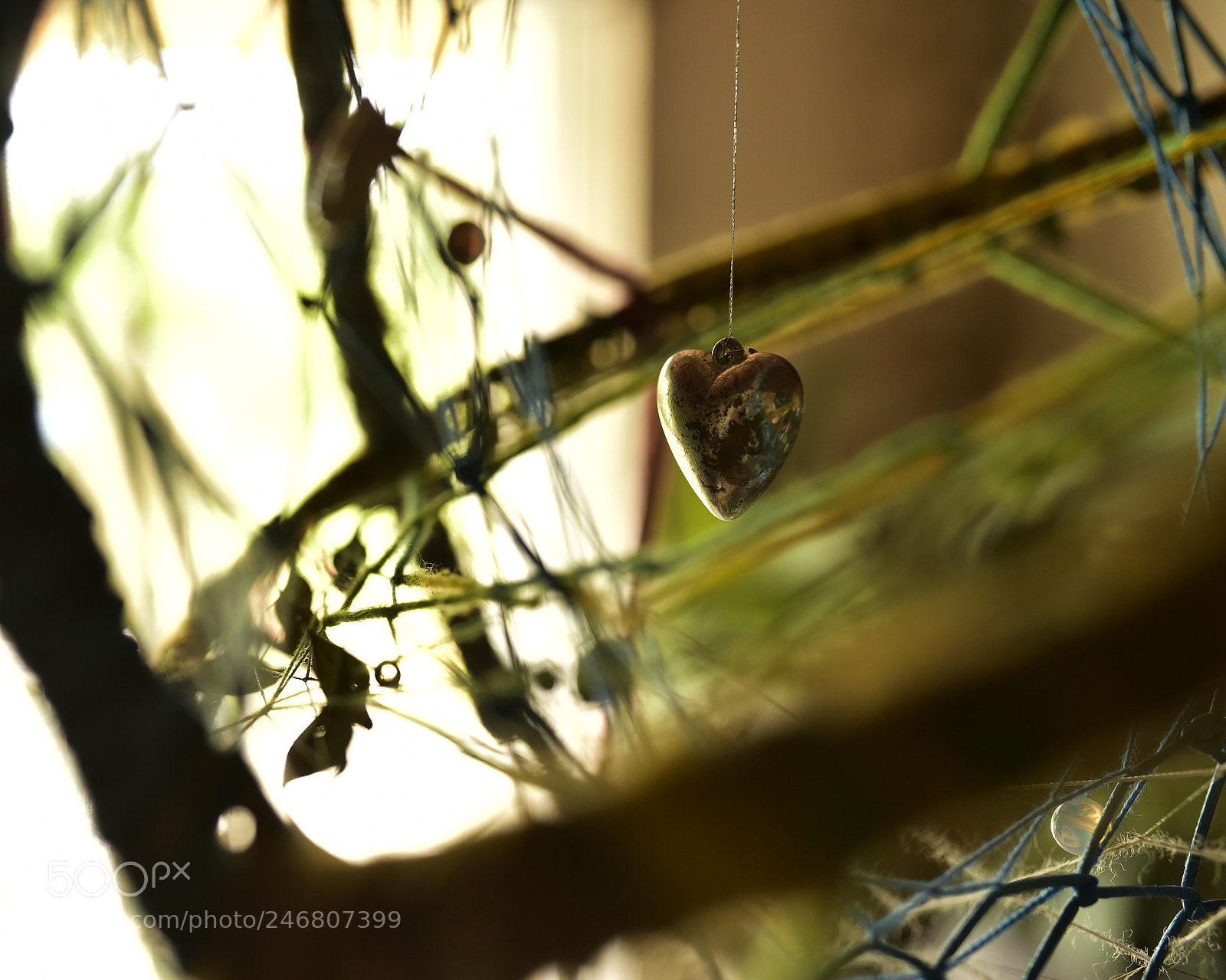Sigma 35mm F1.4 DG HSM Art sample photo. Dsc photography