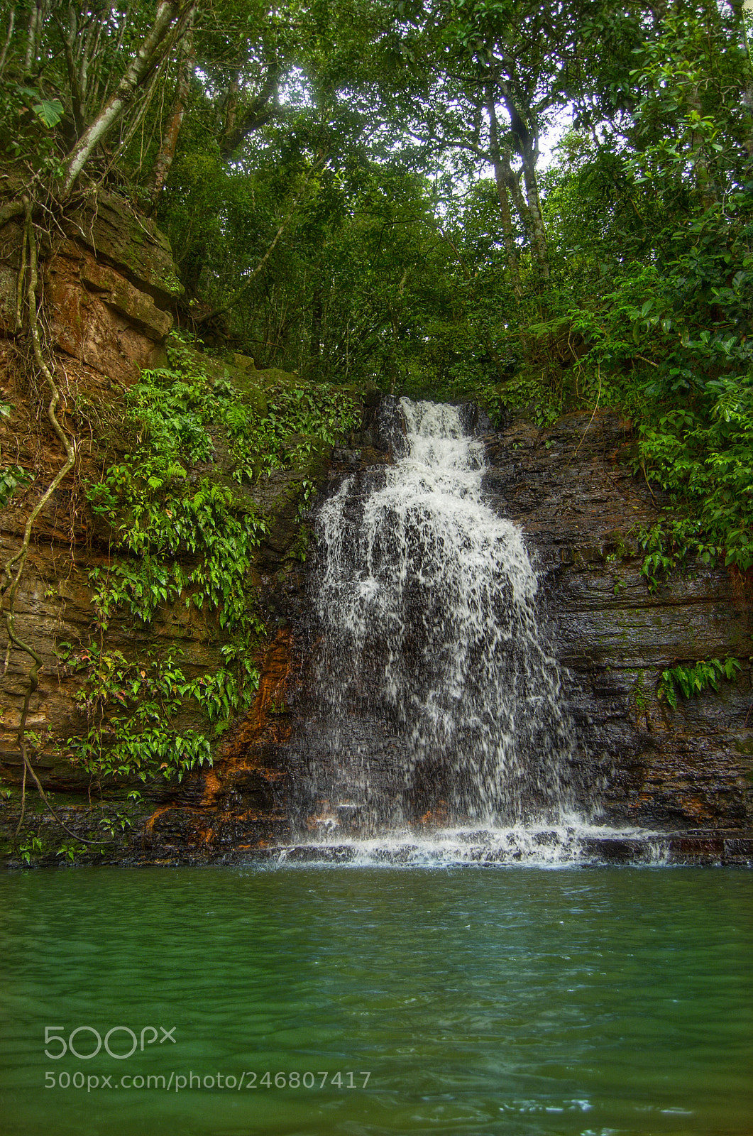 Nikon D3100 sample photo. The water falls photography
