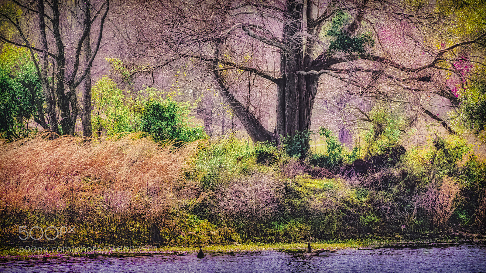 Nikon D7200 sample photo. Spring arriving at mobile photography
