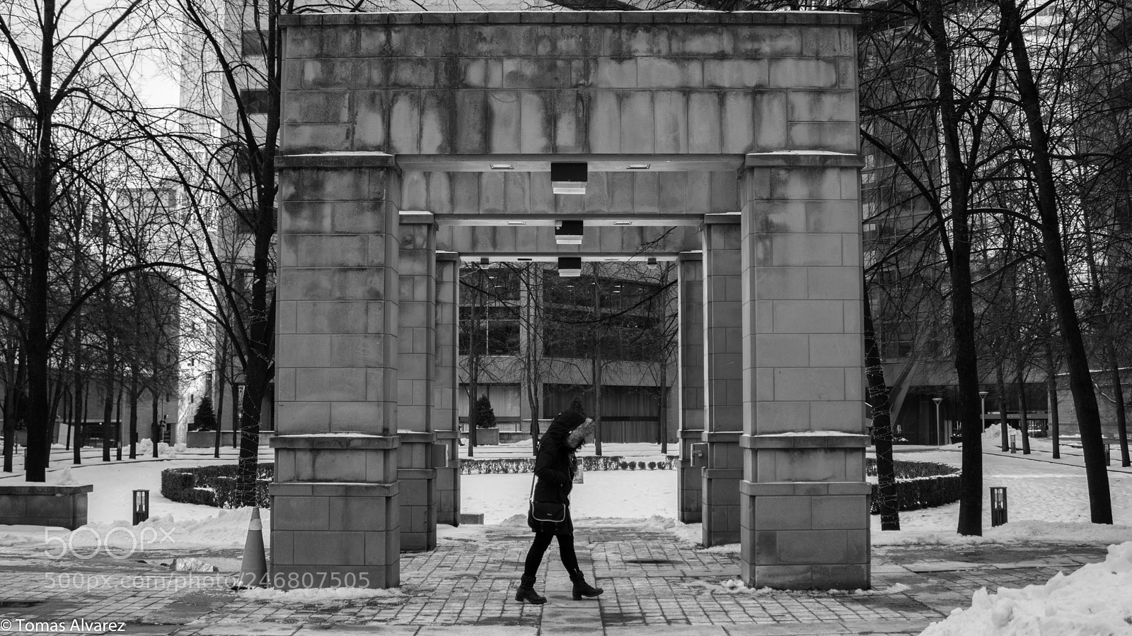 Canon EOS 750D (EOS Rebel T6i / EOS Kiss X8i) sample photo. Treading the path photography
