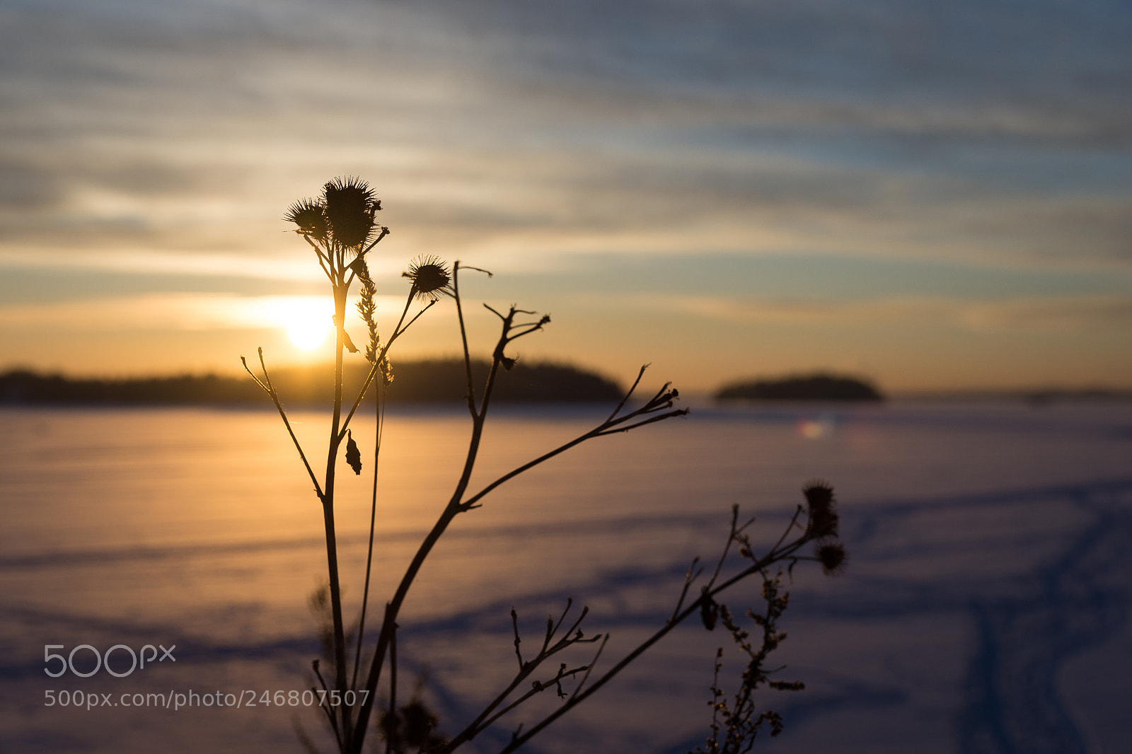 Nikon D7200 sample photo. Sunset seen from pyynikki photography