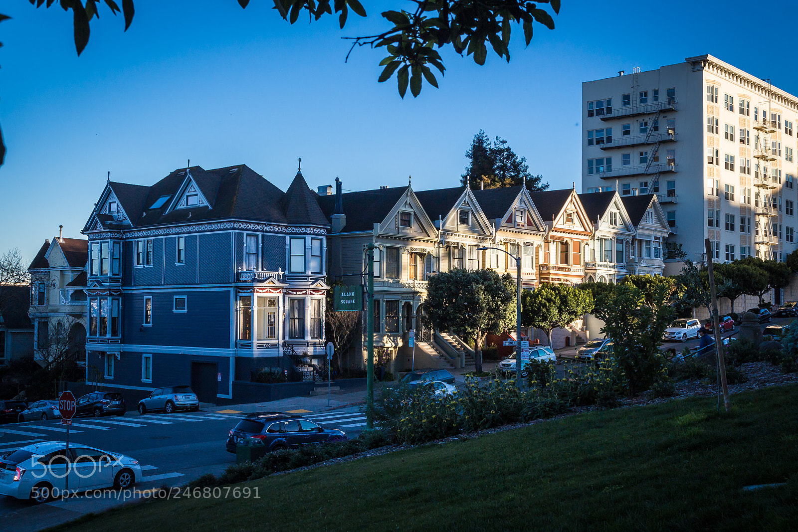 Canon EOS 700D (EOS Rebel T5i / EOS Kiss X7i) sample photo. Painted ladies from alamo photography