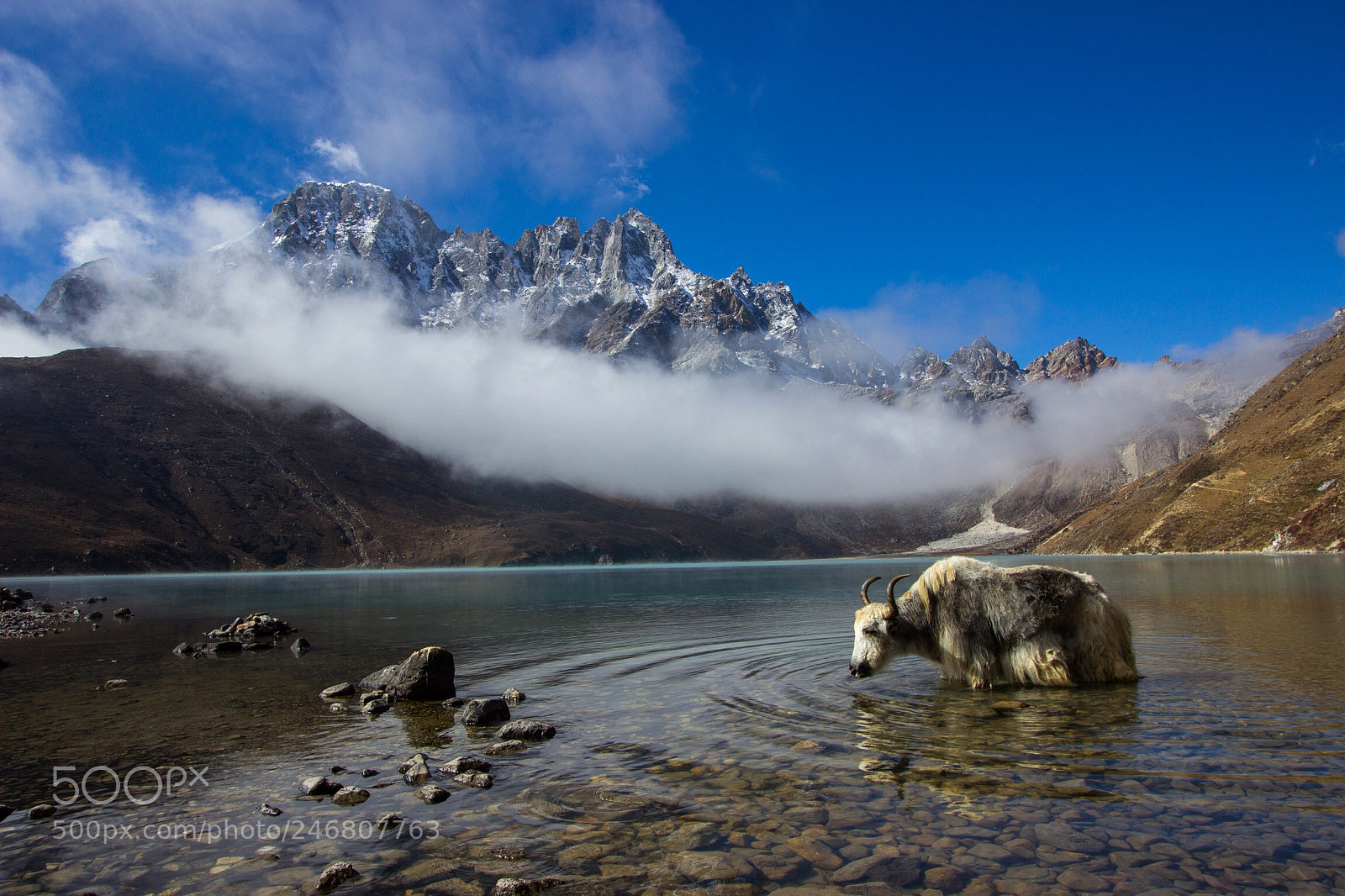 Canon EOS 600D (Rebel EOS T3i / EOS Kiss X5) sample photo. Yak | dudh pokhari | nepal photography