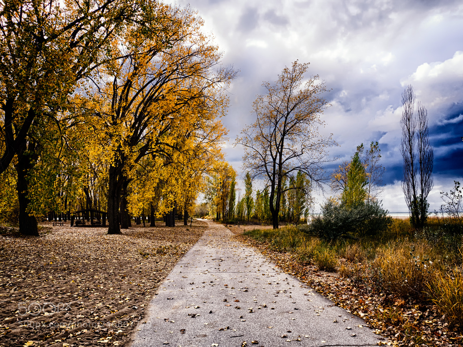 Olympus OM-D E-M10 II sample photo. Path along the lake photography