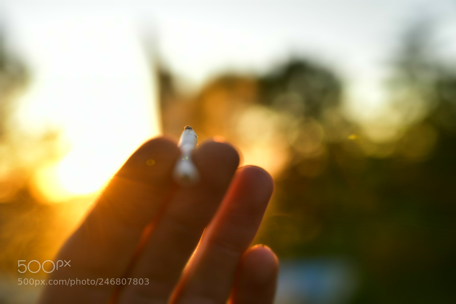Sigma 35mm F1.4 DG HSM Art sample photo. Dsc photography
