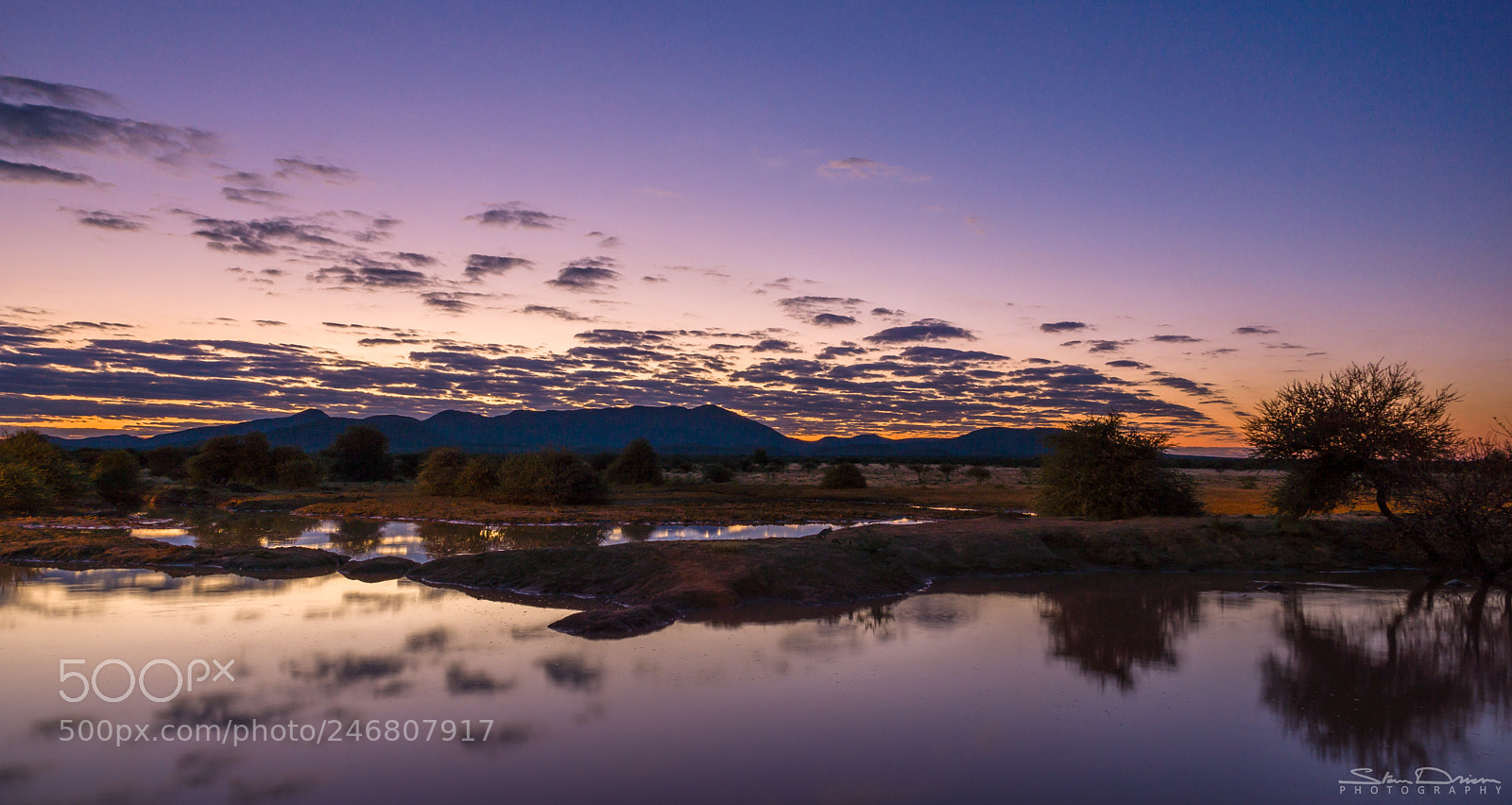 Sony SLT-A77 sample photo. Purple sunrise photography
