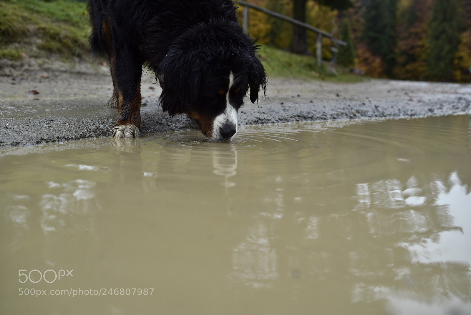 Sigma 35mm F1.4 DG HSM Art sample photo. Dsc photography