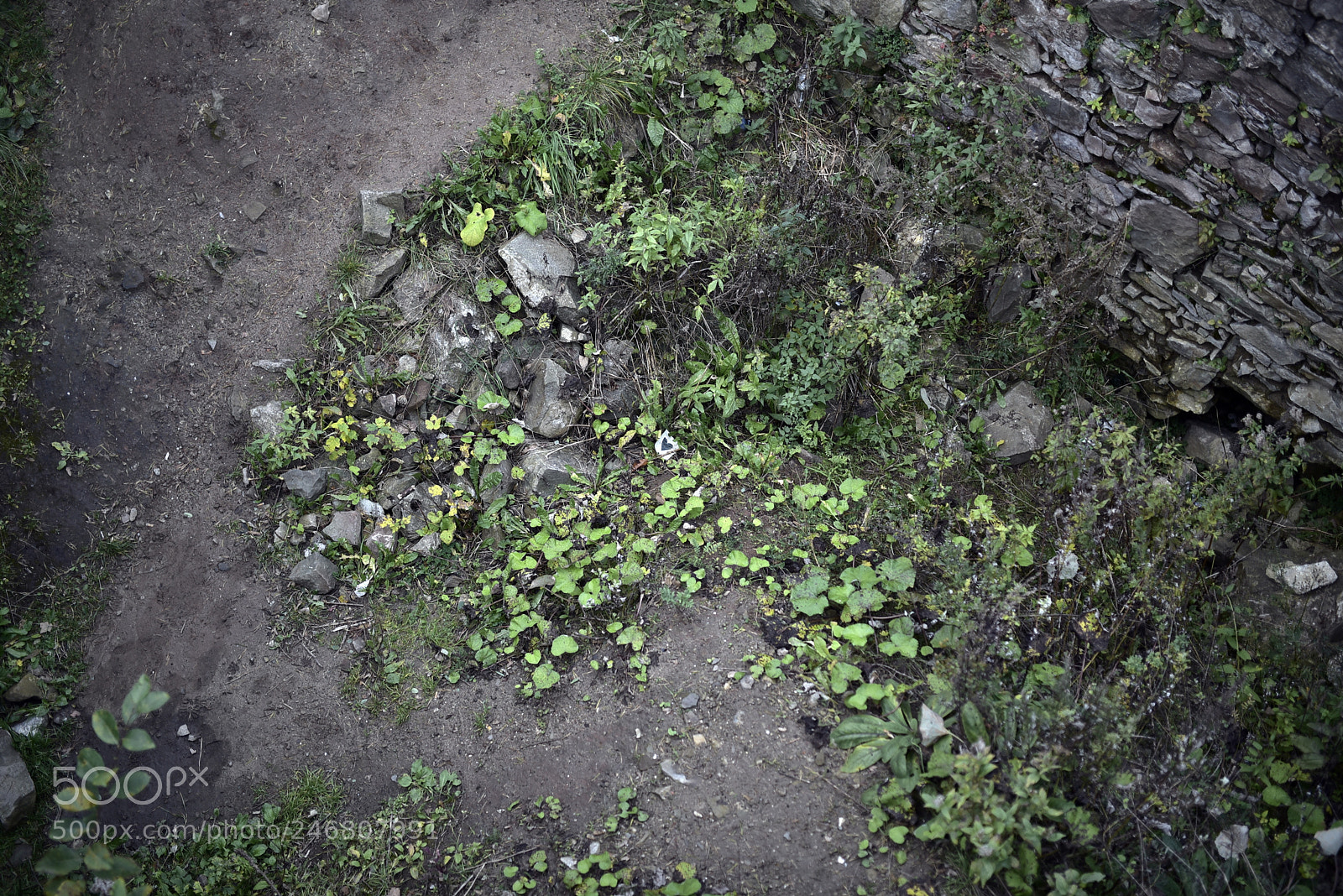 Sigma 35mm F1.4 DG HSM Art sample photo. Dsc photography