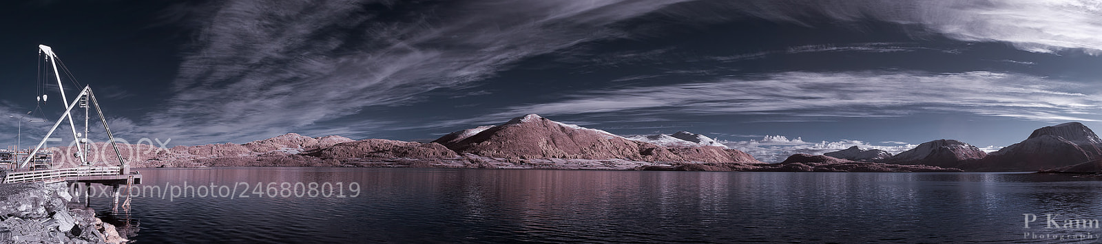 Nikon D60 sample photo. Infrared pano photography