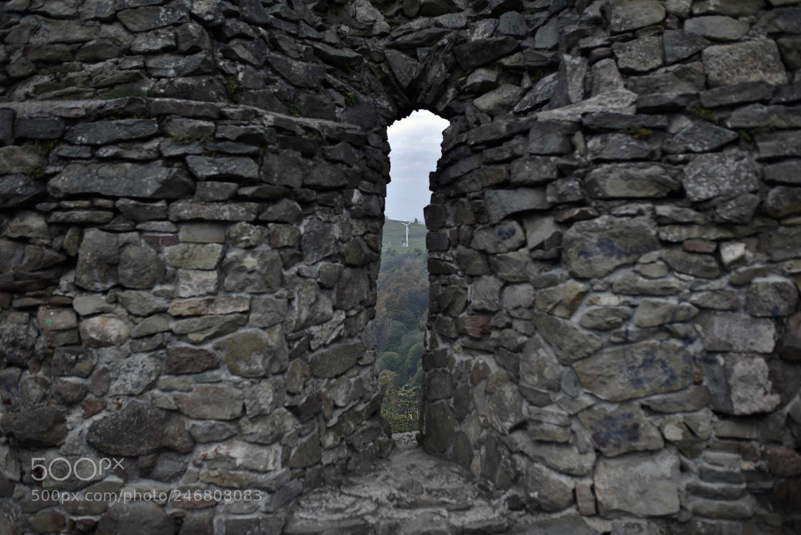 Sigma 35mm F1.4 DG HSM Art sample photo. Dsc photography