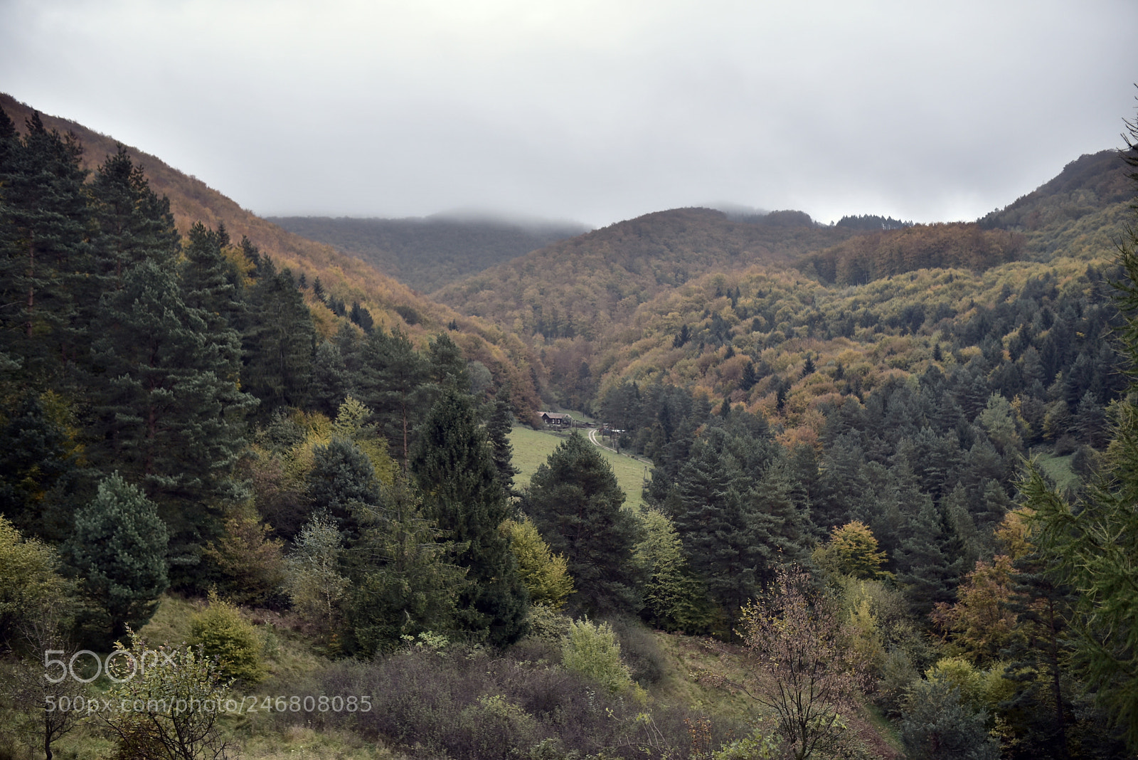 Sigma 35mm F1.4 DG HSM Art sample photo. Dsc photography