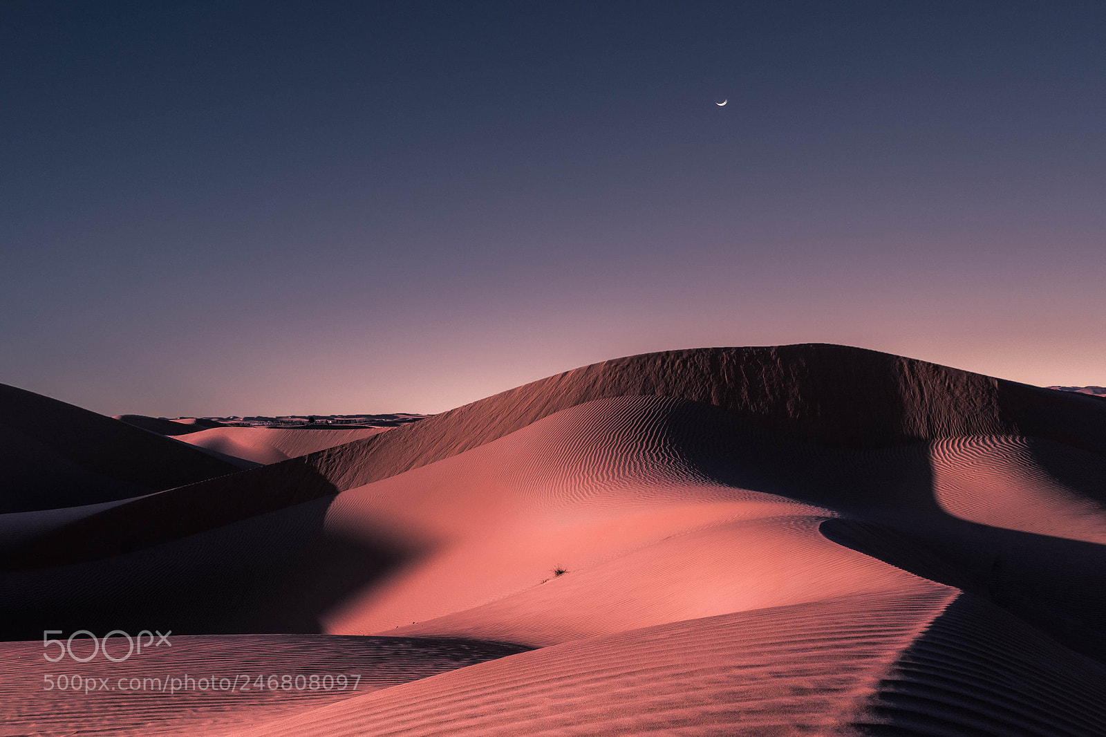 Sony a7R II sample photo. Desert 2018 photography