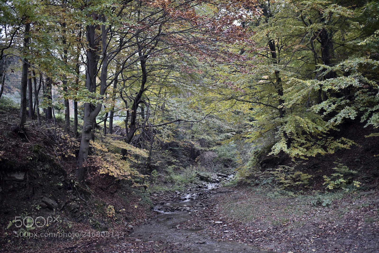 Sigma 35mm F1.4 DG HSM Art sample photo. Dsc photography