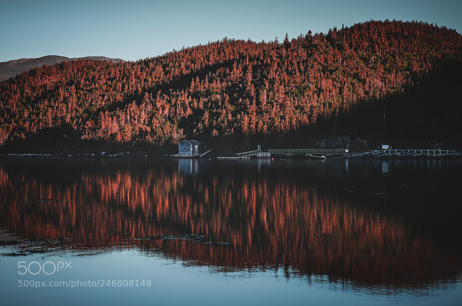 Nikon D810 sample photo. Morning light on the photography