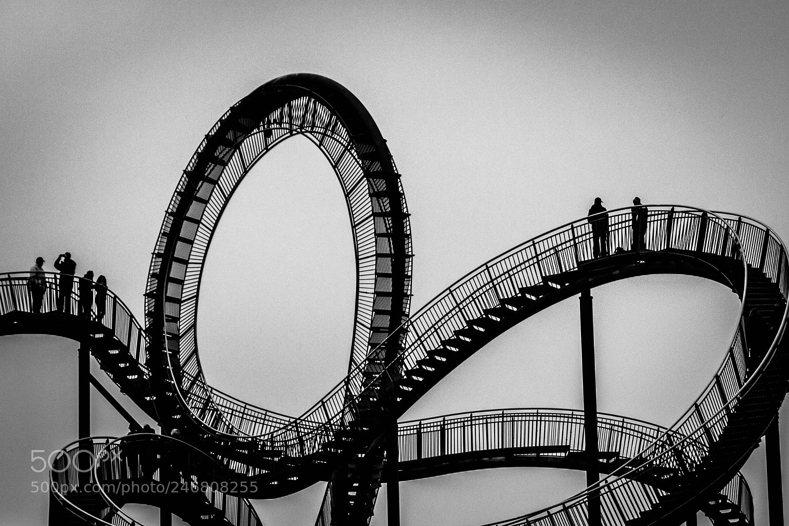 Canon EOS 500D (EOS Rebel T1i / EOS Kiss X3) sample photo. Tiger&turtle photography