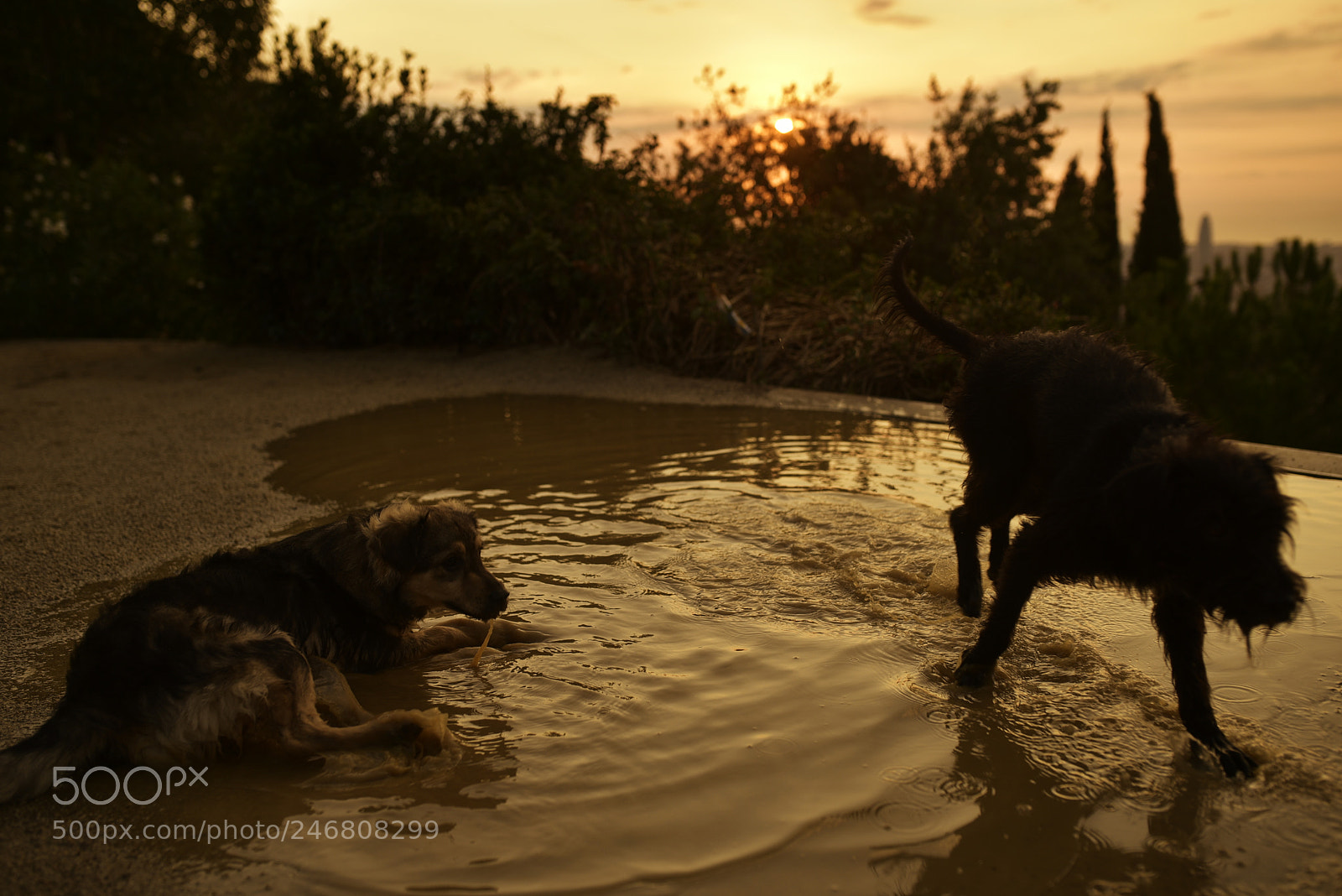 Sigma 35mm F1.4 DG HSM Art sample photo. Dsc photography