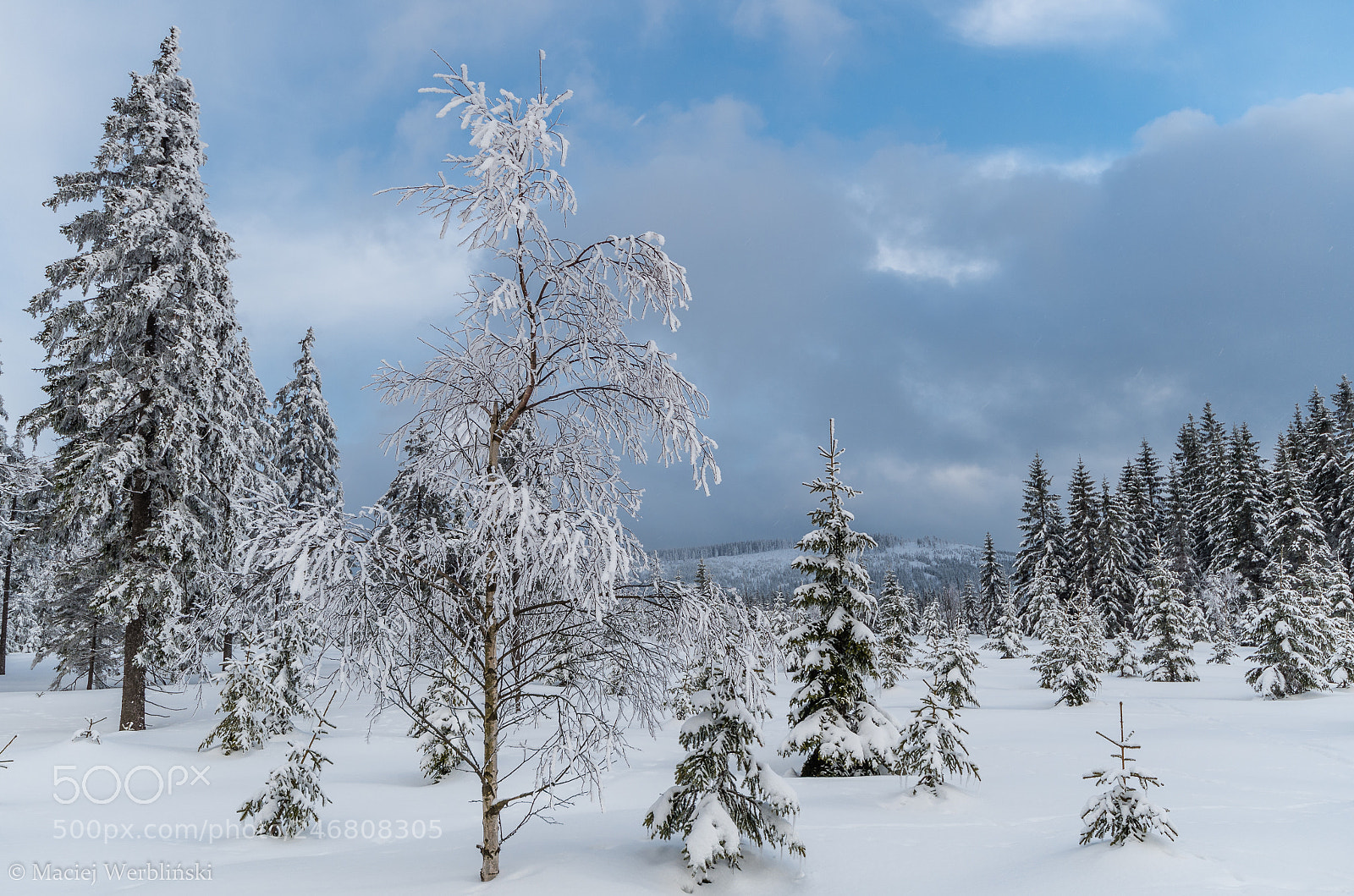 Pentax K-50 sample photo. Winter moods photography