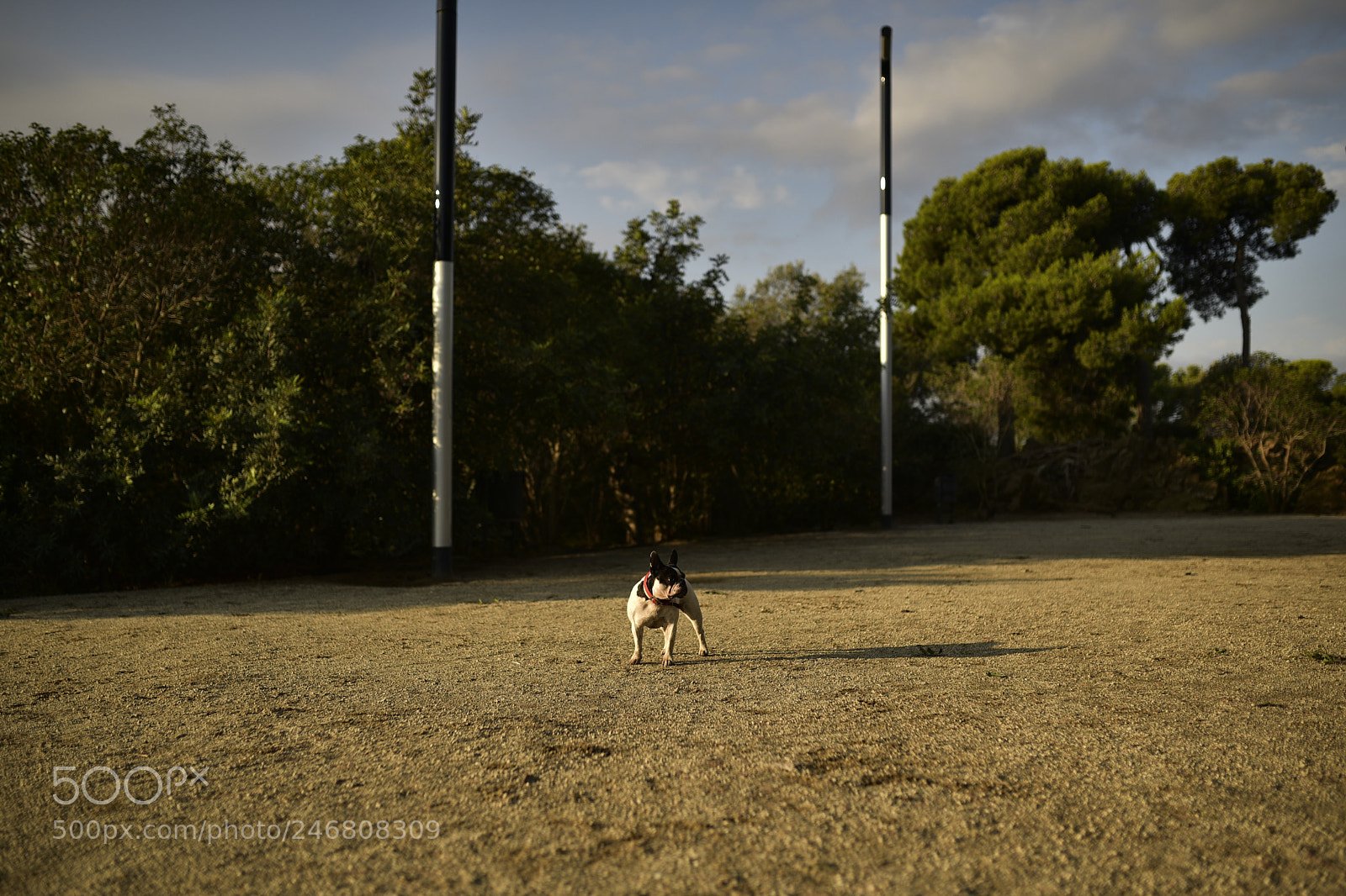 Sigma 35mm F1.4 DG HSM Art sample photo. Dsc photography