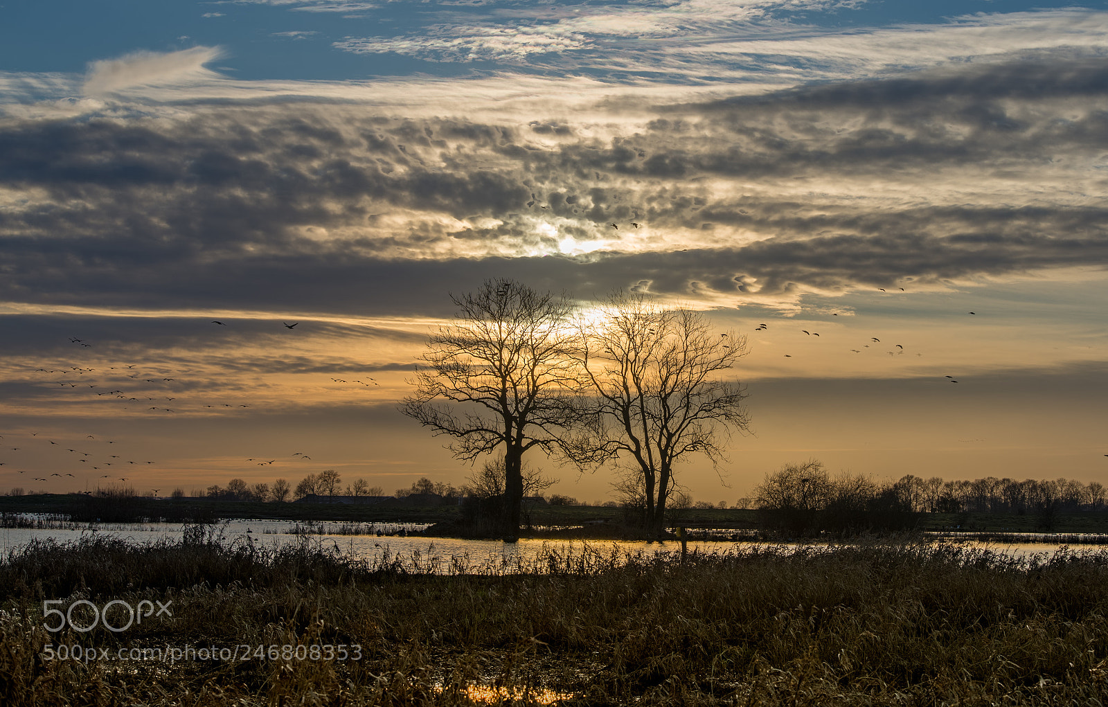 Nikon D610 sample photo. Hdr 2704 photography