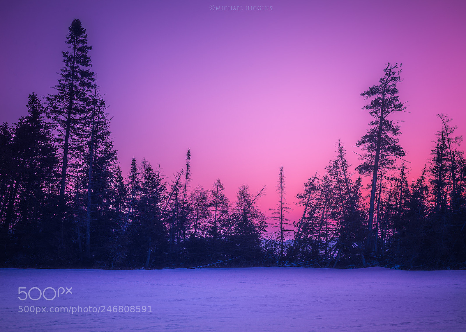 Nikon D610 sample photo. Island's treeline photography