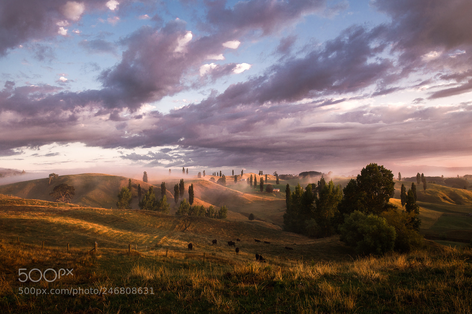 Sony a7R II sample photo. The most beautiful sunrise photography