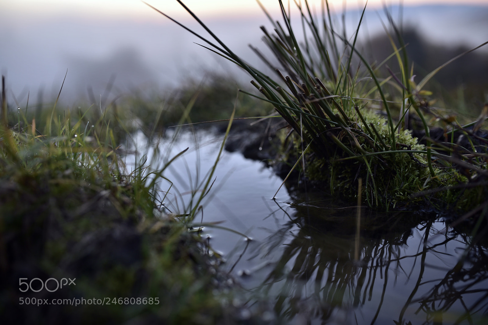Sigma 35mm F1.4 DG HSM Art sample photo. Dsc photography