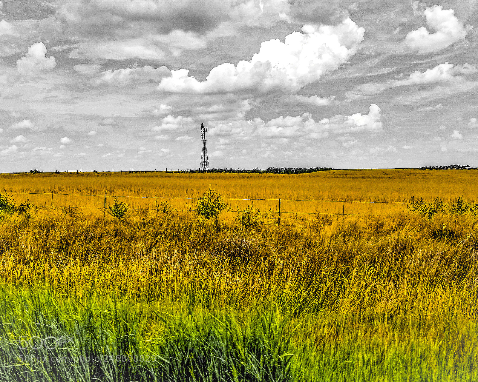 Samsung Galaxy S8+ sample photo. Ohio cornfields photography