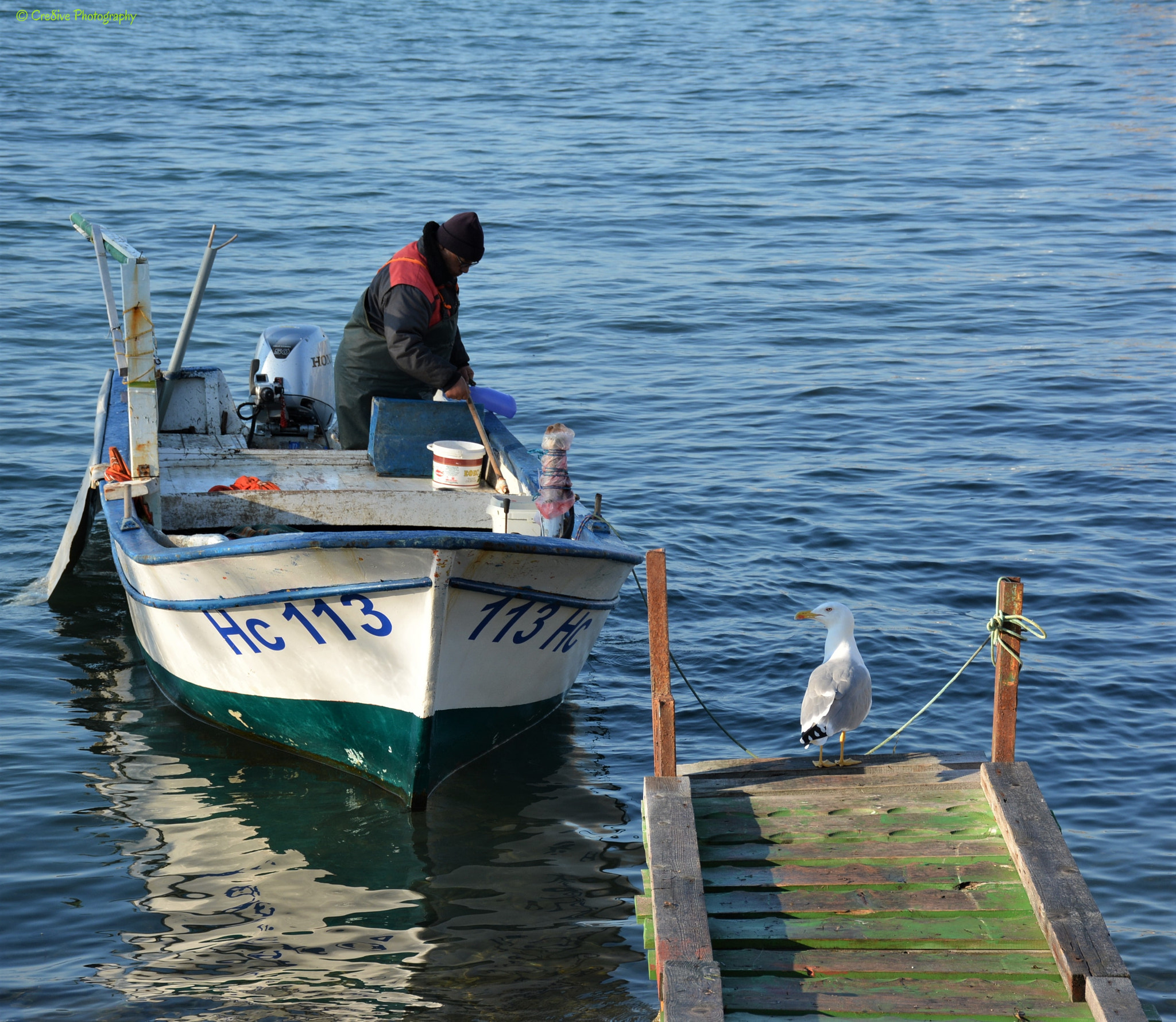 Nikon D5200 sample photo. Fisherman and seagull on a chilly morning photography