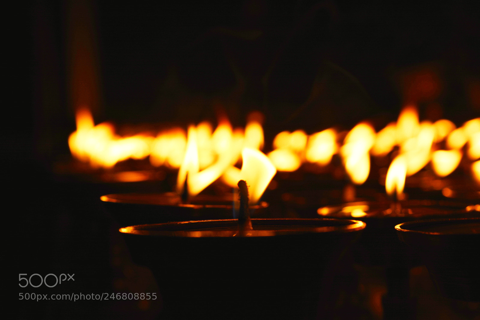 Nikon D5200 sample photo. Untitled photography