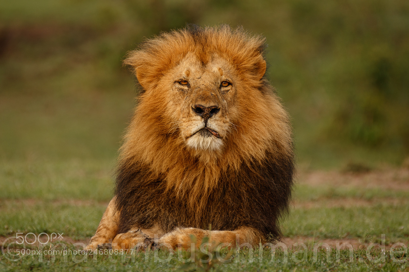 Canon EOS 7D Mark II sample photo. _h6a3369-2.jpg photography