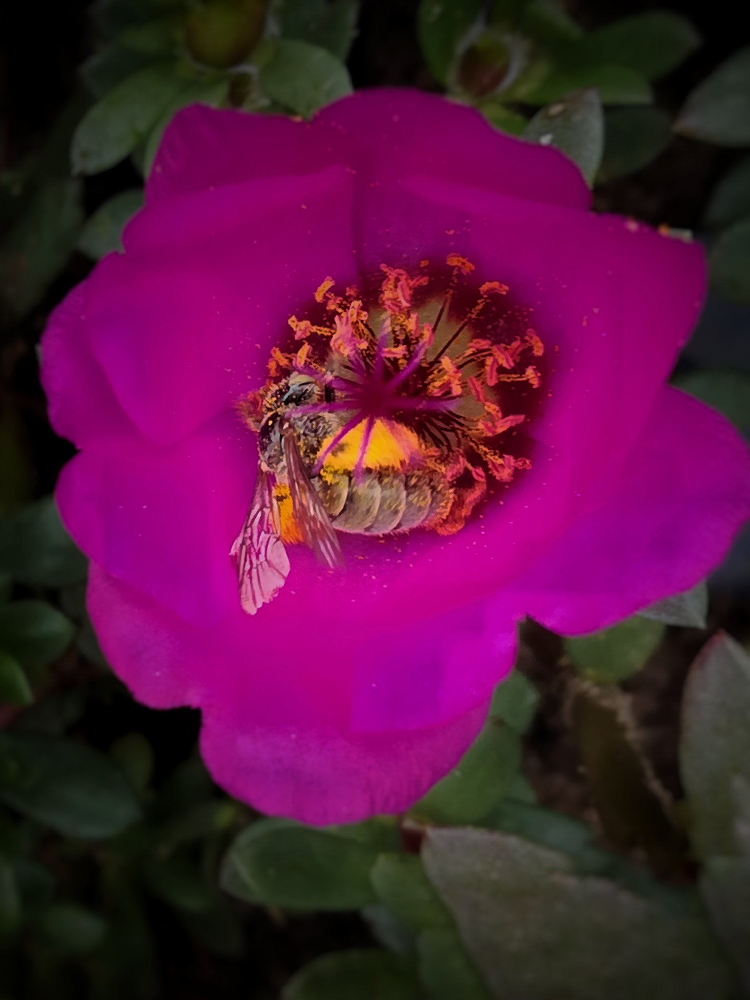 HUAWEI MATE 9 LITE sample photo. Working photography