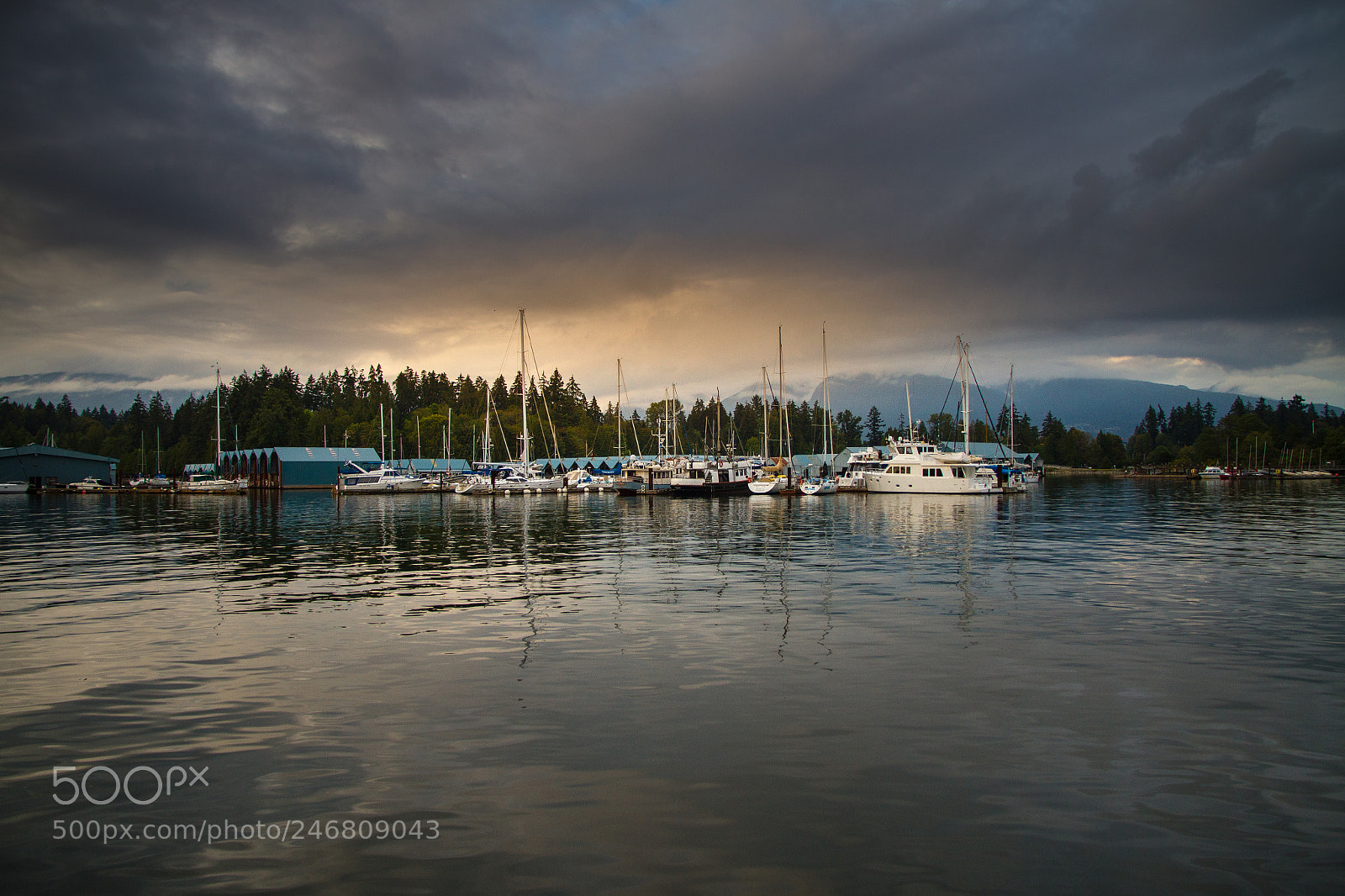 Canon EOS 7D sample photo. Vancuver photography