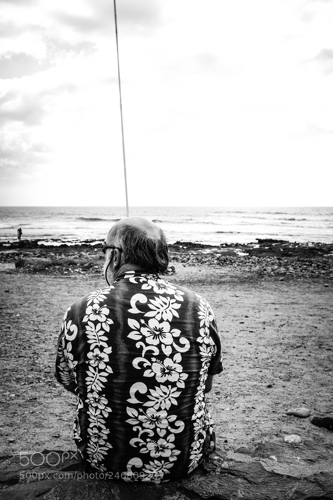 Fujifilm X100F sample photo. Flower power photography