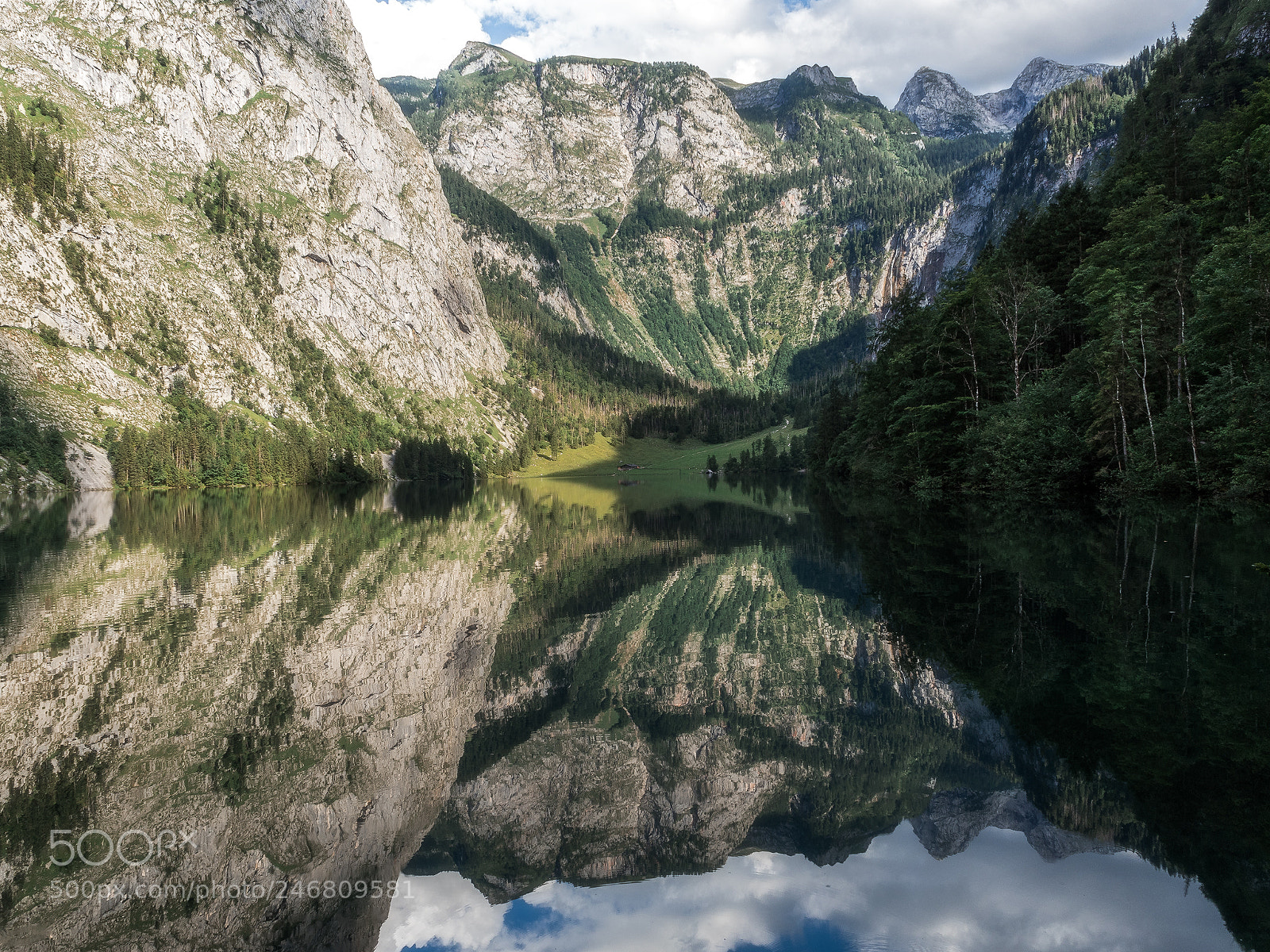 Olympus OM-D E-M5 II sample photo. Reflection photography