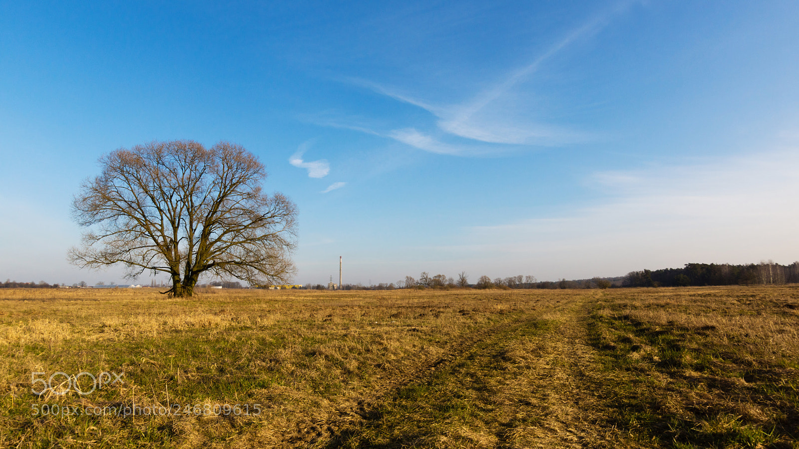 Sony SLT-A65 (SLT-A65V) sample photo. Untitled photography