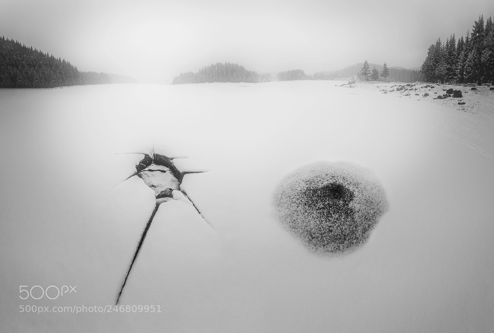 Nikon D7200 sample photo. Frozen photography