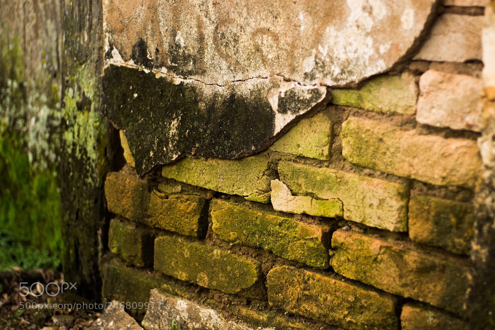 Canon EOS 700D (EOS Rebel T5i / EOS Kiss X7i) sample photo. Ancient sludge photography