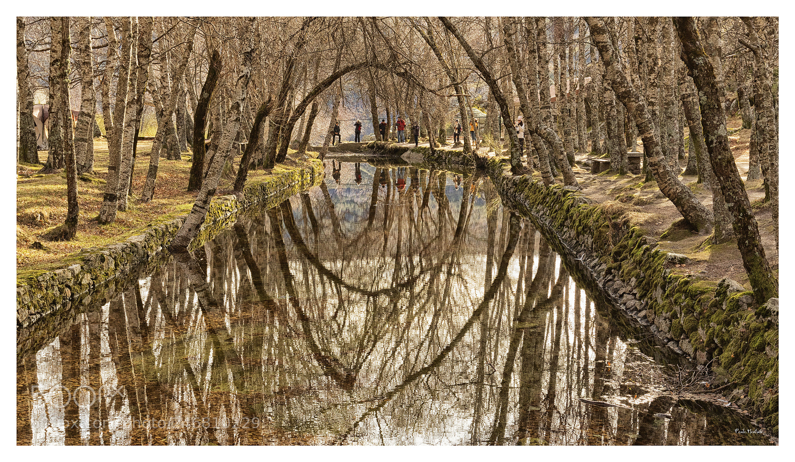 Canon EOS 7D Mark II sample photo. Photographers photography