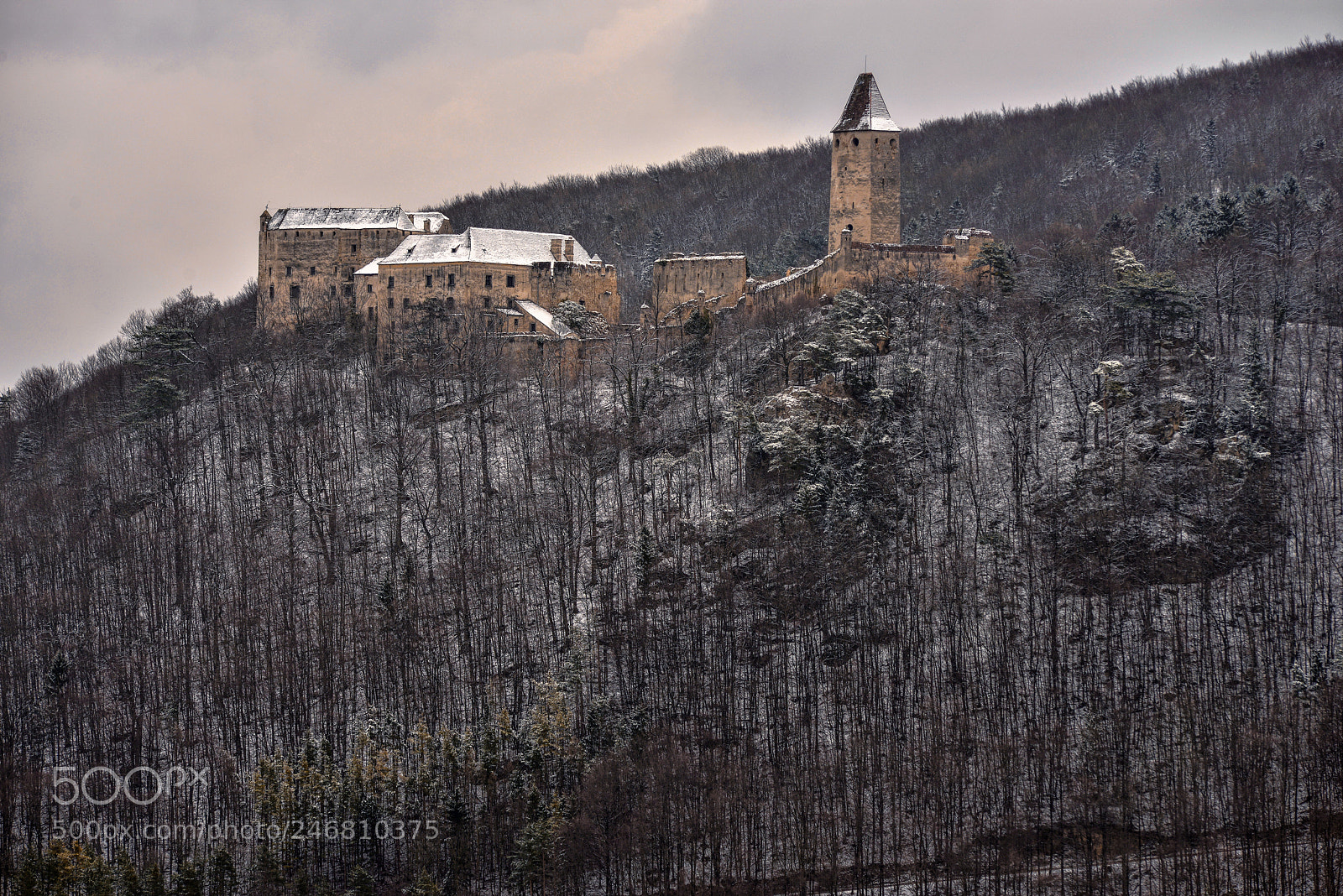 Nikon D800 sample photo. Lonely sentinel photography