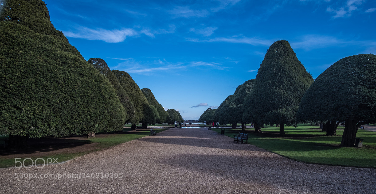 Fujifilm X-T2 sample photo. Hampton court gardens photography